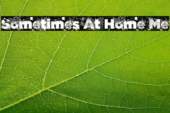 Sometimes At Home Me Example 3