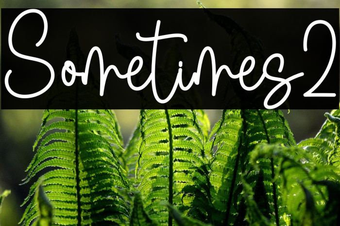 Sometimes2 Example 2