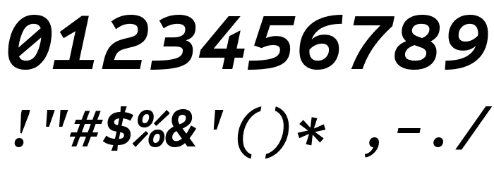 Sometype Mono Bold Italic Font OTHER CHARS