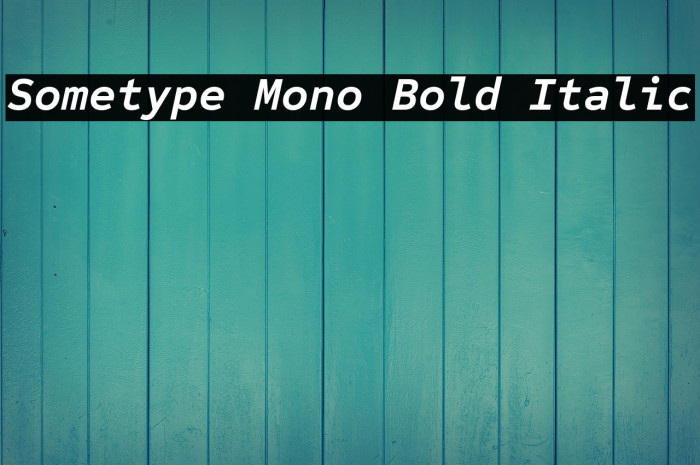 Sometype Mono Bold Italic Font examples