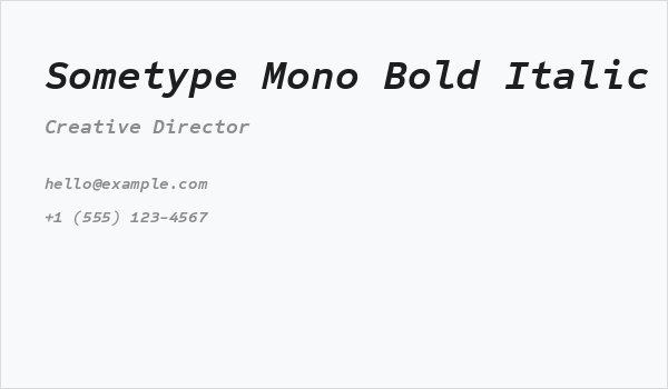 Sometype Mono Bold Italic Business Card