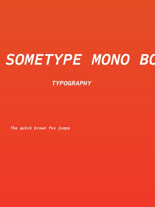 Sometype Mono Bold Italic Poster