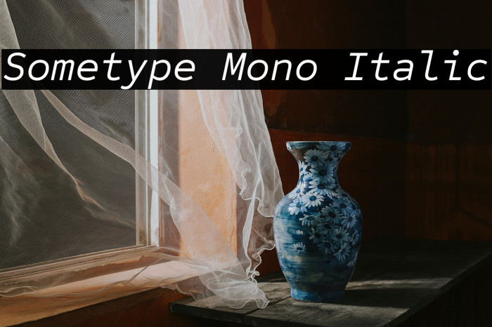 Sometype Mono Italic Example 1