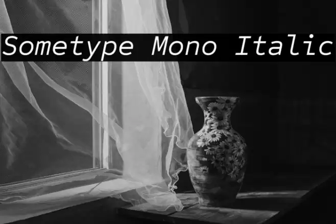Sometype Mono Italic フォント examples