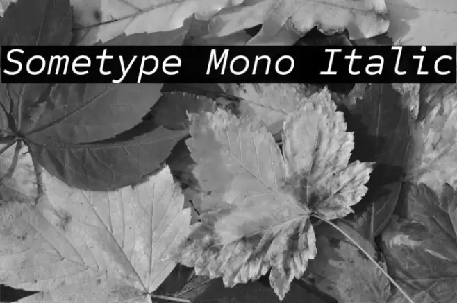 Sometype Mono Italic フォント examples