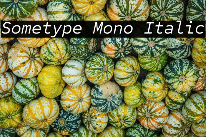 Sometype Mono Italic Example 3