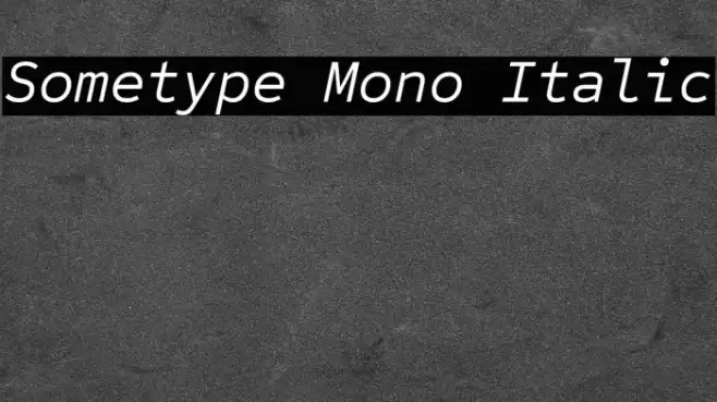 Sometype Mono Italic フォント examples