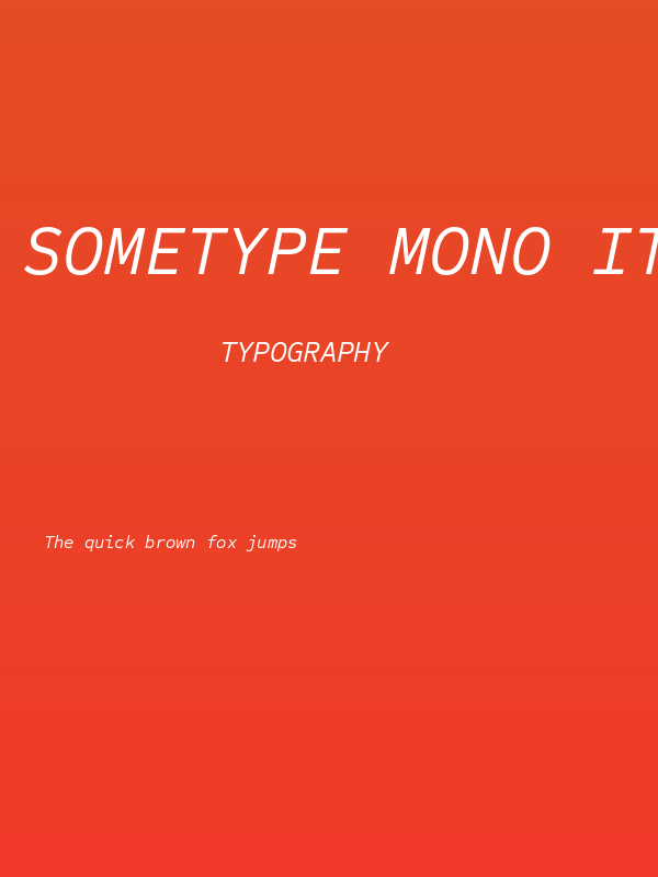 Sometype Mono Italic Poster