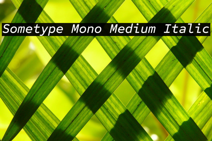 Sometype Mono Medium Italic Font examples
