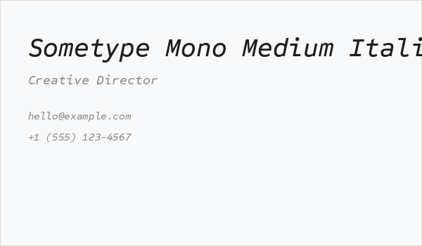 Sometype Mono Medium Italic Business Card