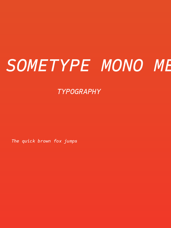 Sometype Mono Medium Italic Poster