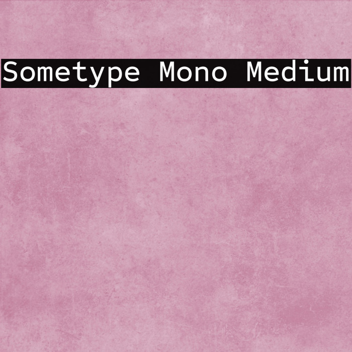 Sometype Mono Medium Example 1