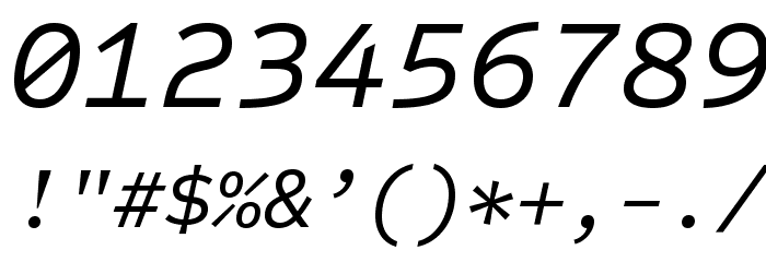Sometype Mono Regular Italic Font OTHER CHARS