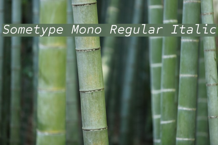 Sometype Mono Regular Italic Font examples