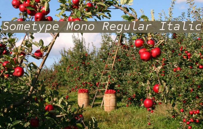 Sometype Mono Regular Italic Font examples