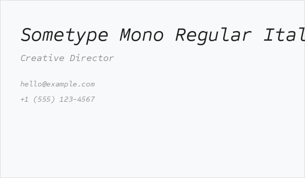 Sometype Mono Regular Italic Business Card