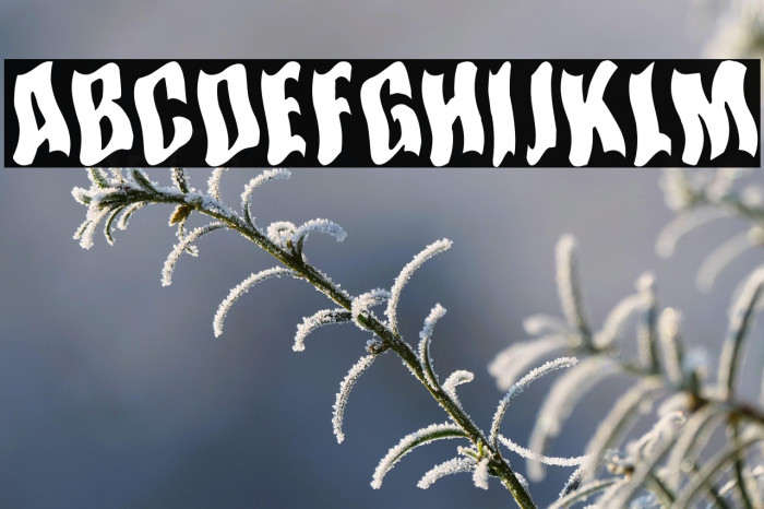 SomewhereInSpace Example 1