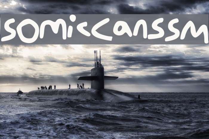 Somic_Cans_SM Example 1