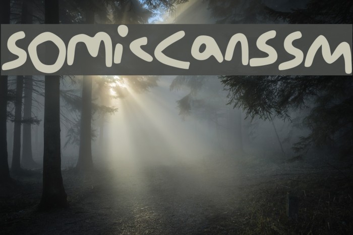 Somic_Cans_SM Example 2