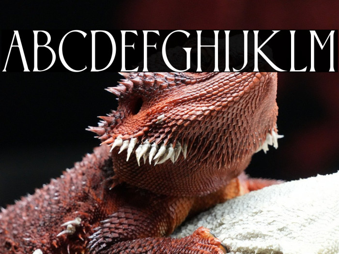 Somnium Amor Example 3