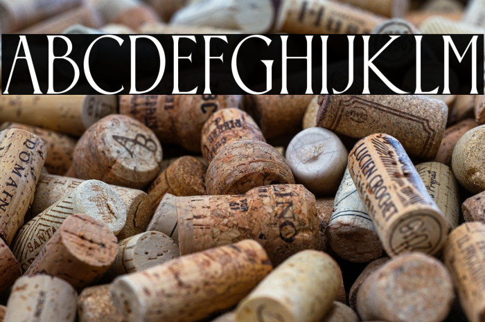 Somnium Amor Example 2