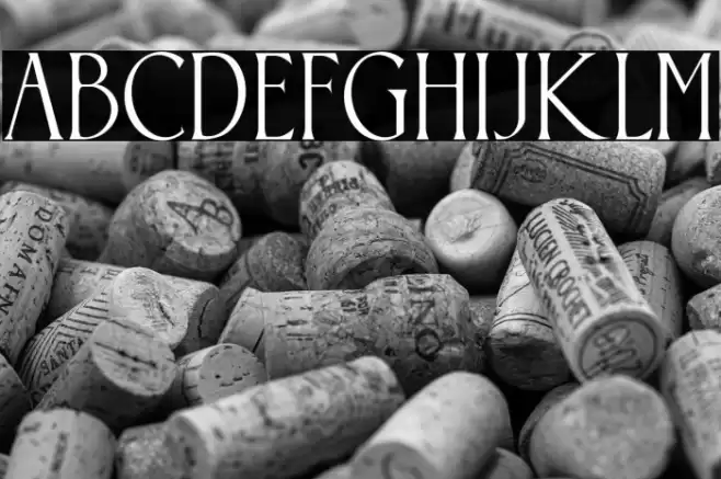 Somnium Amor Font examples