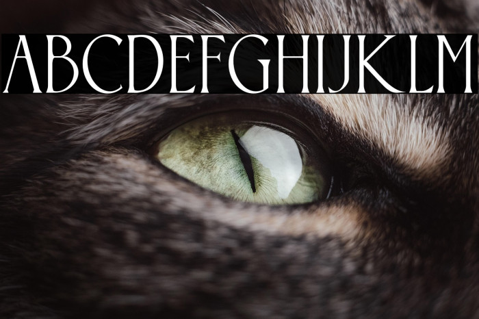 Somnium Amor Example 3