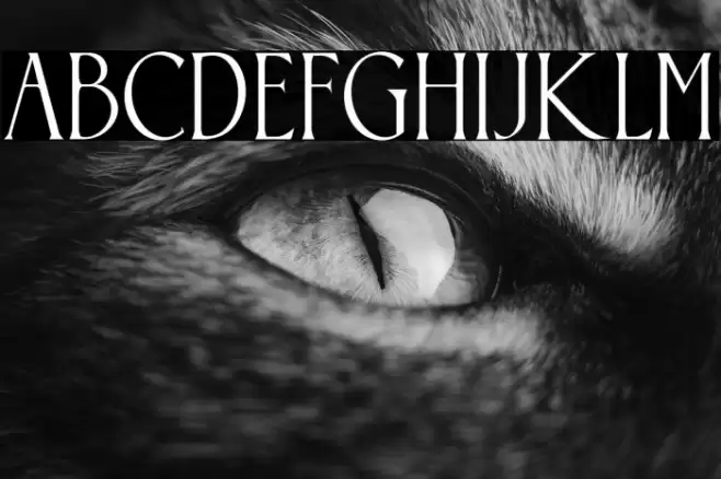 Somnium Amor Font examples