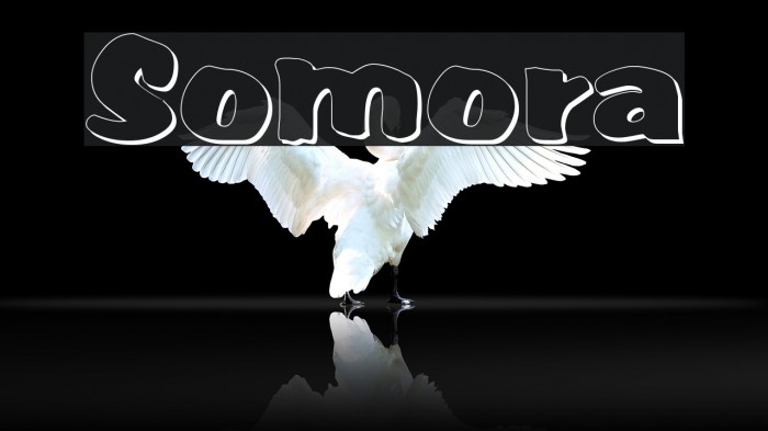 Somora Font examples
