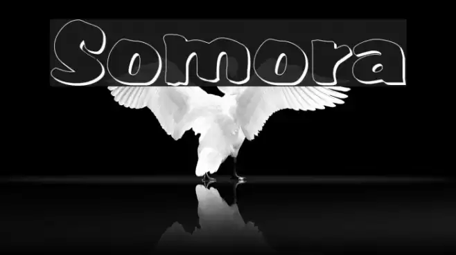 Somora Font examples