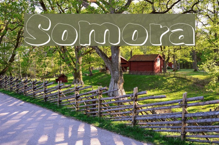 Somora Font examples