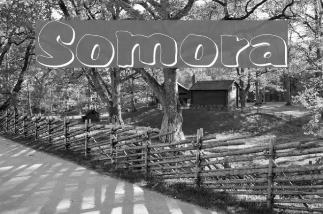 Somora Font examples