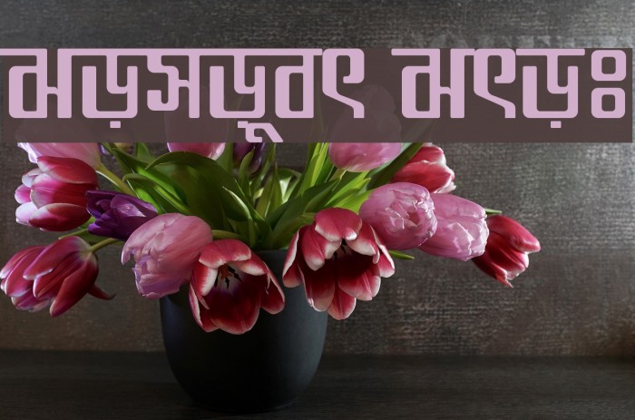 Somoyer Srot Font examples