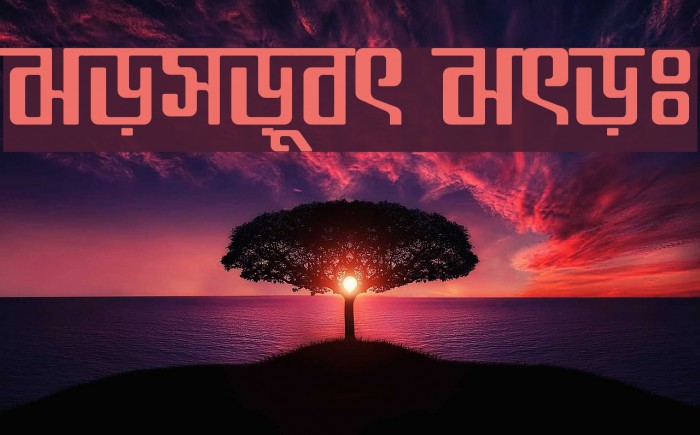 Somoyer Srot Font examples