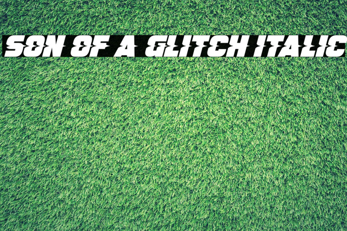 Son Of A Glitch Italic Font examples
