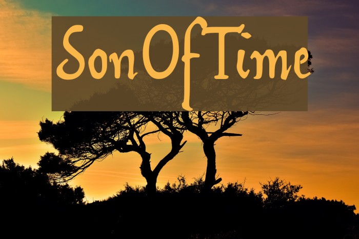 SonOfTime Font examples