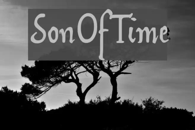 SonOfTime フォント examples