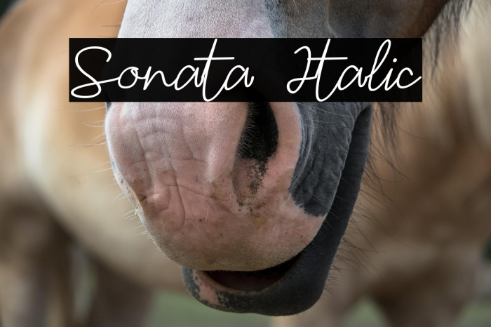 Sonata Italic Example 1