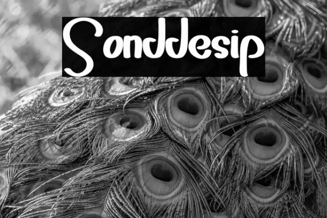 Sonddesip Font examples