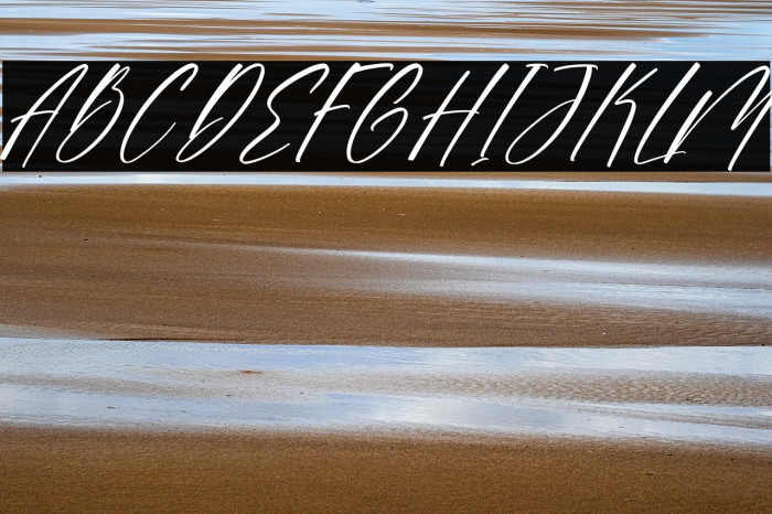 Sonesta DEMO VERSION Italic Example 3