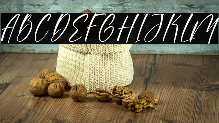 Sonesta DEMO VERSION Example 1