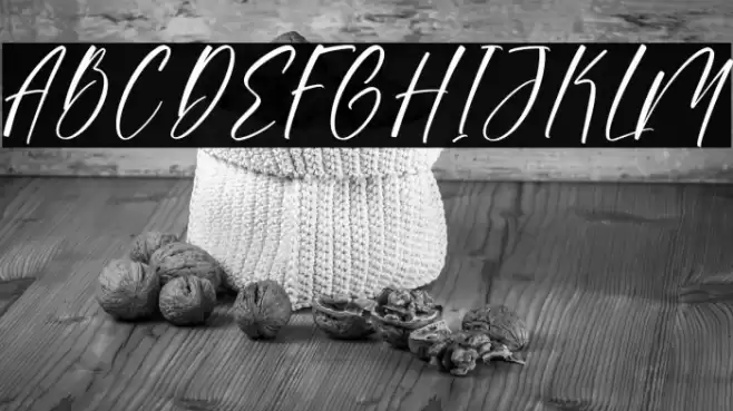 Sonesta DEMO VERSION خط examples