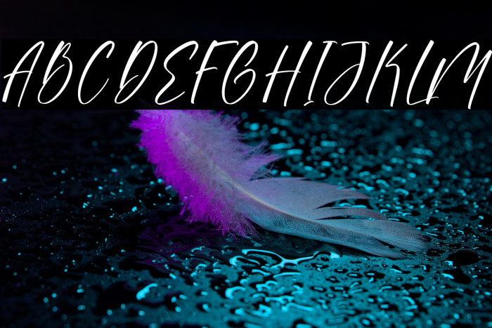 Sonesta DEMO VERSION Example 2