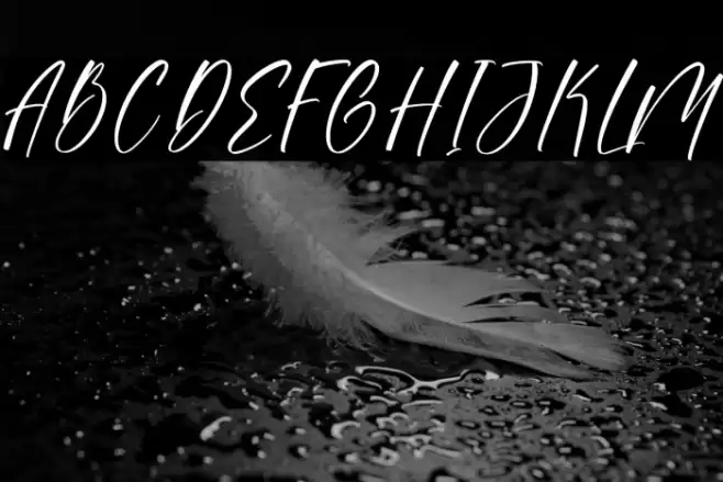 Sonesta DEMO VERSION خط examples