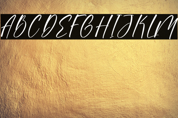 Sonesta DEMO VERSION Example 3