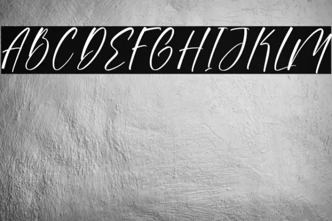 Sonesta DEMO VERSION خط examples