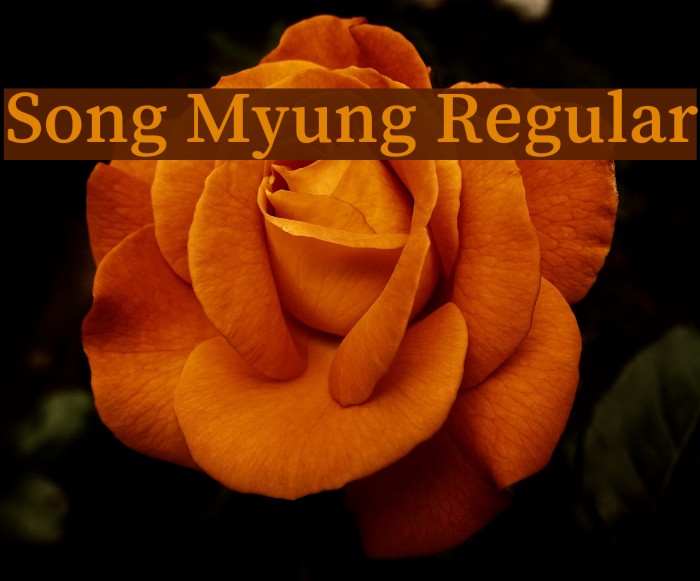 Song Myung Regular Example 1