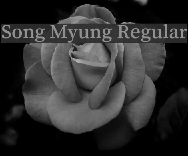 Song Myung Regular examples