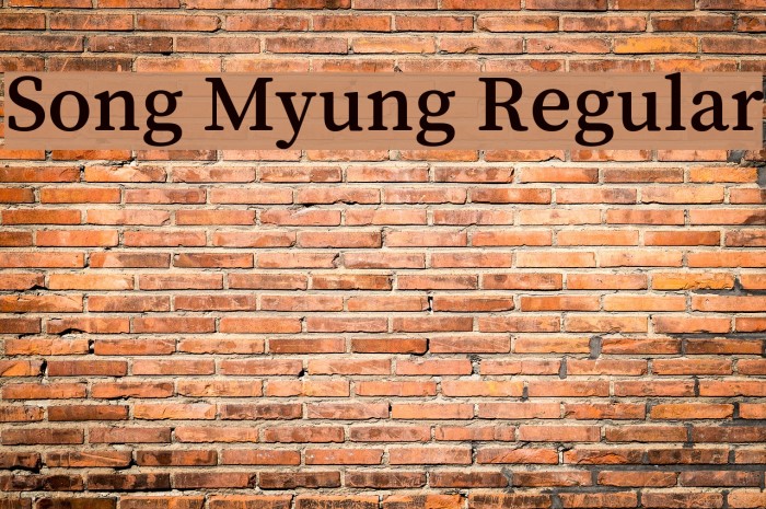 Song Myung Regular Example 2