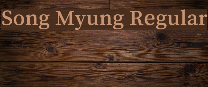 Song Myung Regular Example 3